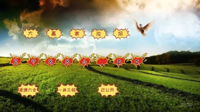 4949开奖免费资料澳门|轻松玩转生活小技巧_创新品.7.575